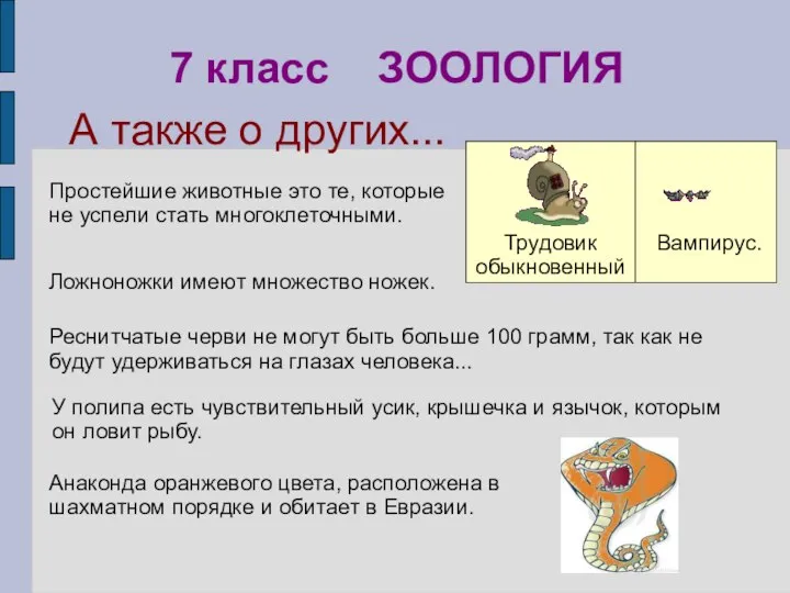 Анаконда оранжевого цвета, расположена в шахматном порядке и обитает в Евразии.