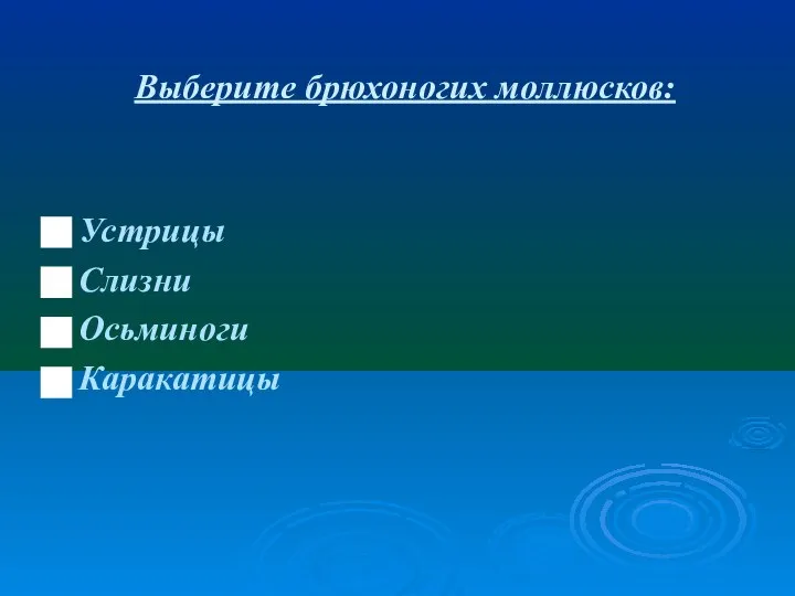 Выберите брюхоногих моллюсков: Устрицы Слизни Осьминоги Каракатицы