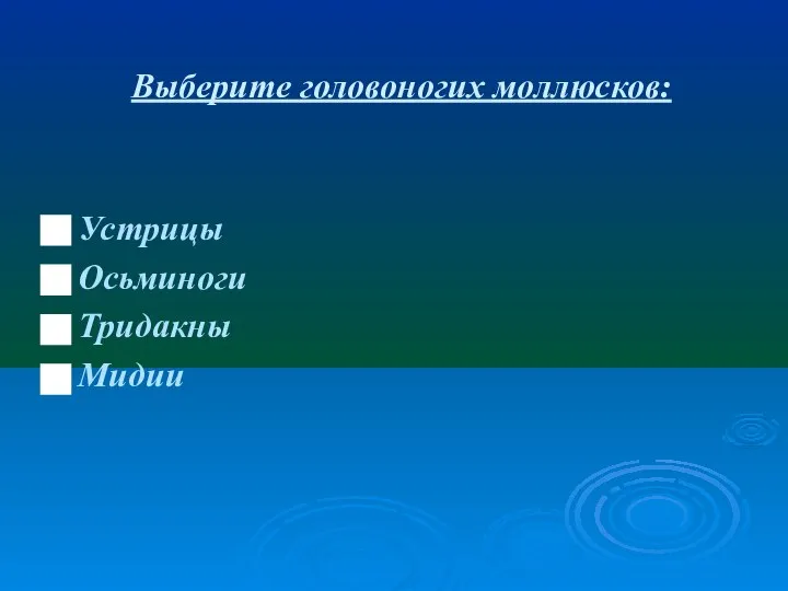 Выберите головоногих моллюсков: Устрицы Осьминоги Тридакны Мидии