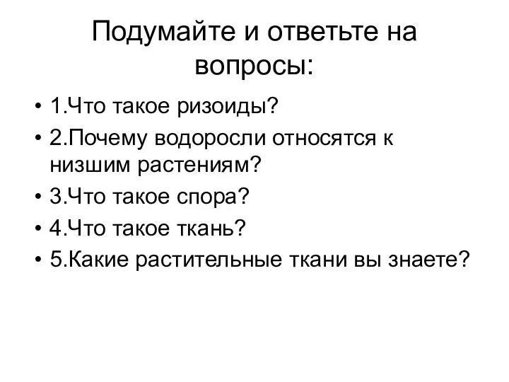 Подумайте и ответьте на вопросы: 1.Что такое ризоиды? 2.Почему водоросли относятся