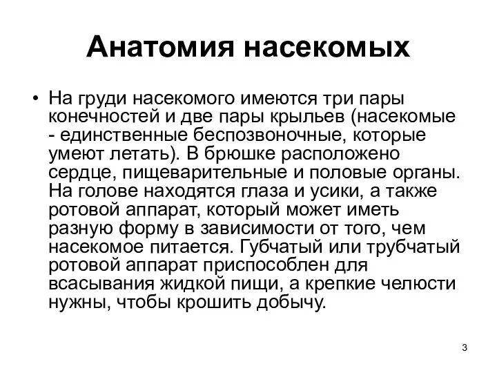 Анатомия насекомых На груди насекомого имеются три пары конечностей и две