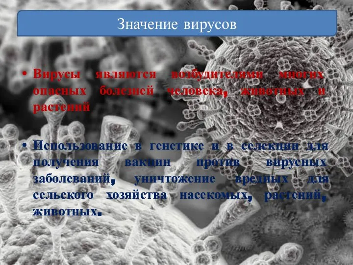 Вирусы являются возбудителями многих опасных болезней человека, животных и растений Использование