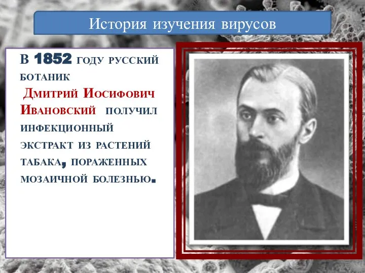 В 1852 году русский ботаник Дмитрий Иосифович Ивановский получил инфекционный экстракт