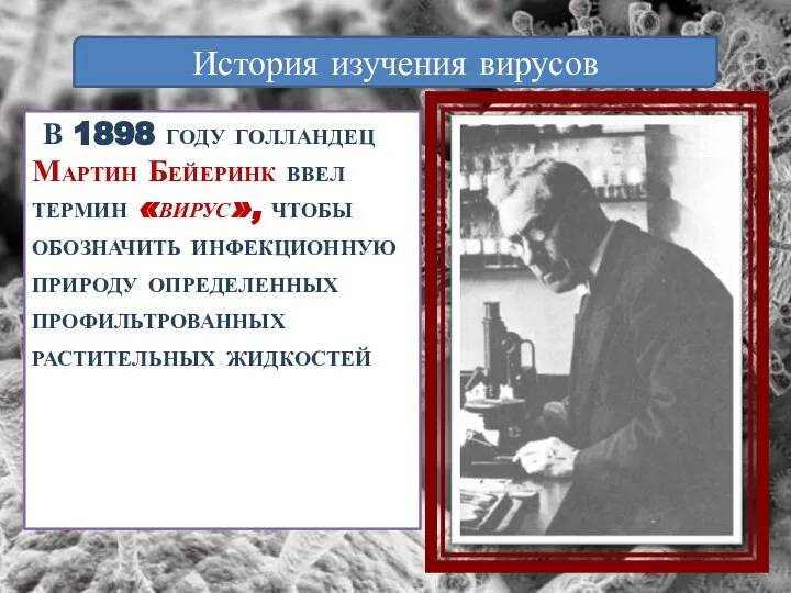 В 1898 году голландец Мартин Бейеринк ввел термин «вирус», чтобы обозначить