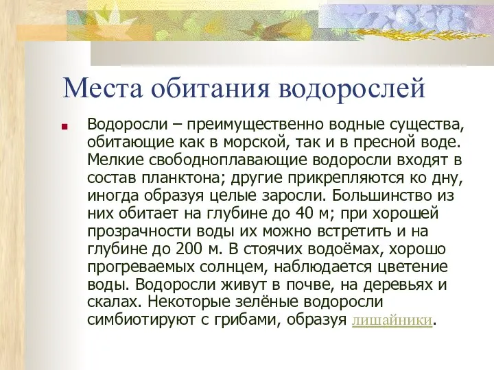 Места обитания водорослей Водоросли – преимущественно водные существа, обитающие как в