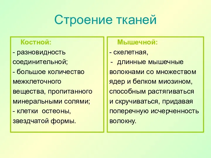 Строение тканей Костной: - разновидность соединительной; - большое количество межклеточного вещества,