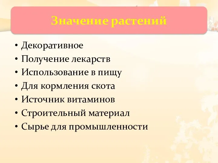 Декоративное Получение лекарств Использование в пищу Для кормления скота Источник витаминов