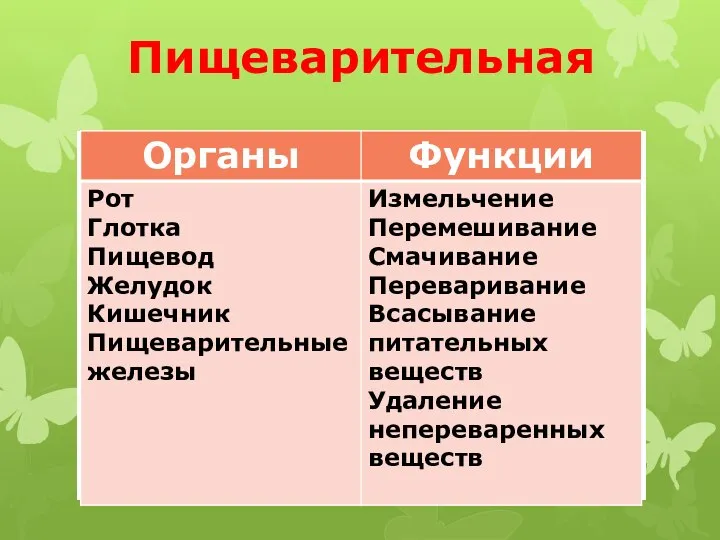 Пищеварительная