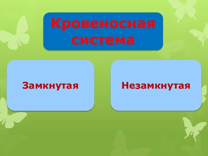 Кровеносная система Замкнутая Незамкнутая