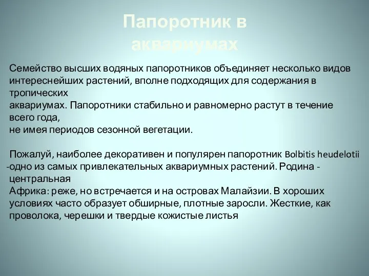 Папоротник в аквариумах Семейство высших водяных папоротников объединяет несколько видов интереснейших