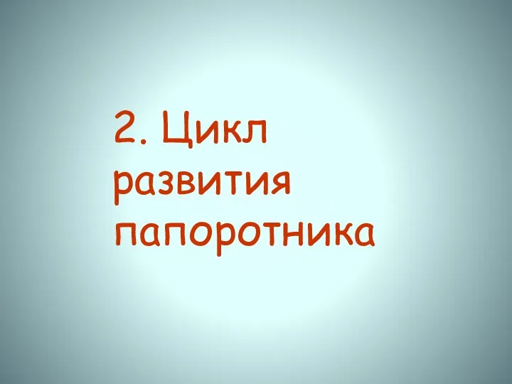 2. Цикл развития папоротника