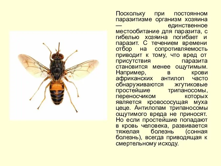 Поскольку при постоянном паразитизме организм хозяина — единственное местообитание для паразита,