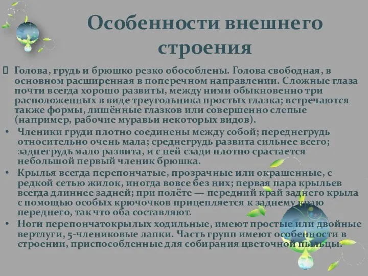 Особенности внешнего строения Голова, грудь и брюшко резко обособлены. Голова свободная,