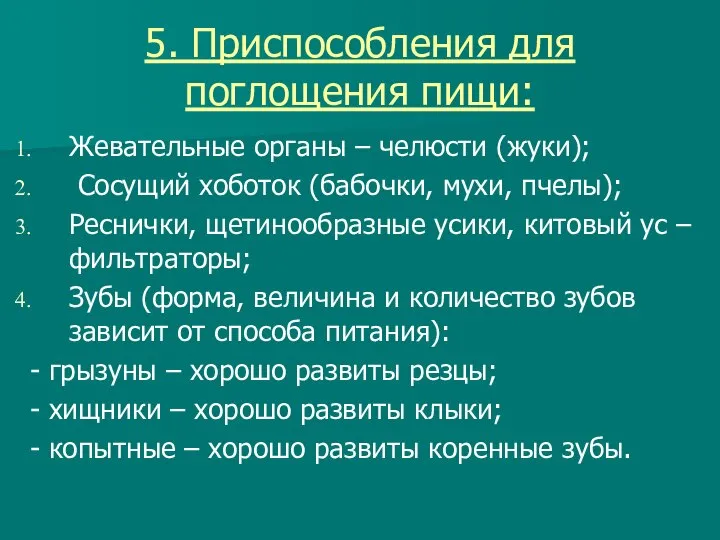 5. Приспособления для поглощения пищи: Жевательные органы – челюсти (жуки); Сосущий