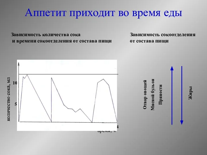 Аппетит приходит во время еды Зависимость сокоотделения от состава пищи Отвар