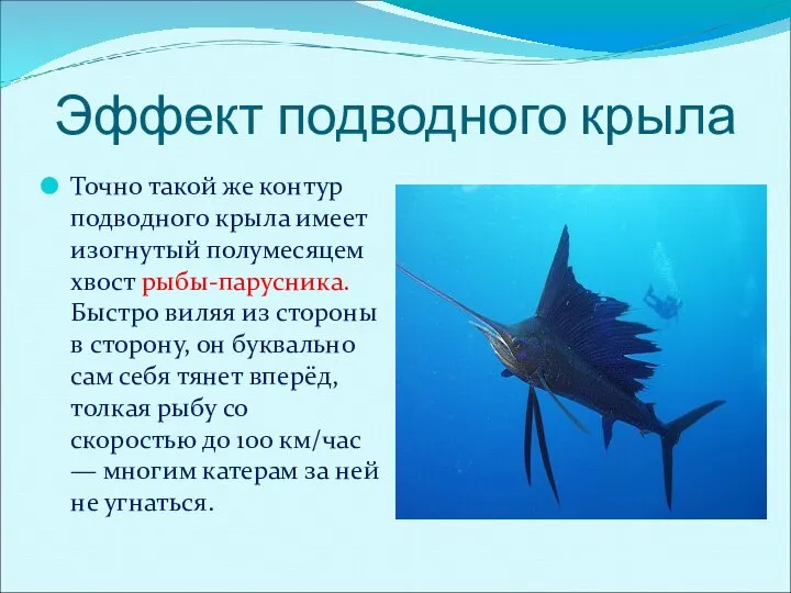 Эффект подводного крыла Точно такой же контур подводного крыла имеет изогнутый