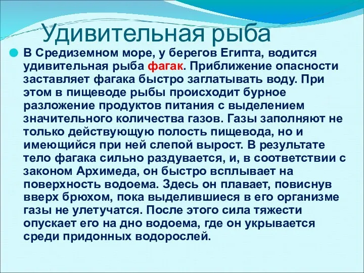 Удивительная рыба В Средиземном море, у берегов Египта, водится удивительная рыба