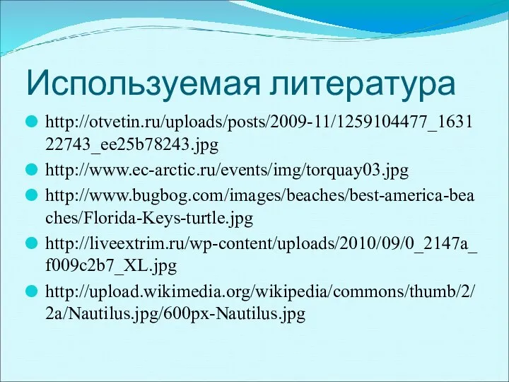 Используемая литература http://otvetin.ru/uploads/posts/2009-11/1259104477_163122743_ee25b78243.jpg http://www.ec-arctic.ru/events/img/torquay03.jpg http://www.bugbog.com/images/beaches/best-america-beaches/Florida-Keys-turtle.jpg http://liveextrim.ru/wp-content/uploads/2010/09/0_2147a_f009c2b7_XL.jpg http://upload.wikimedia.org/wikipedia/commons/thumb/2/2a/Nautilus.jpg/600px-Nautilus.jpg