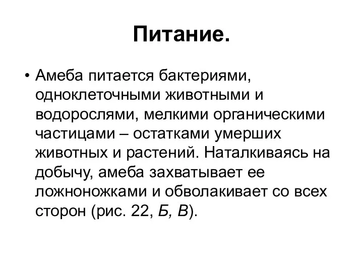 Питание. Амеба питается бактериями, одноклеточными животными и водорослями, мелкими органическими частицами