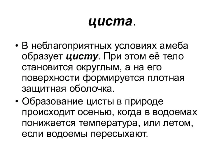 циста. В неблагоприятных условиях амеба образует цисту. При этом её тело