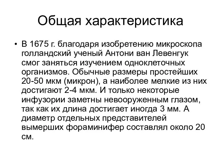 Общая характеристика В 1675 г. благодаря изобретению микроскопа голландский ученый Антони