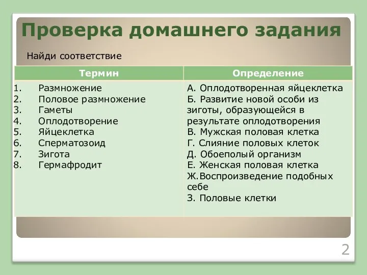 Проверка домашнего задания Найди соответствие