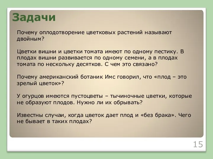 Задачи Почему оплодотворение цветковых растений называют двойным? Цветки вишни и цветки