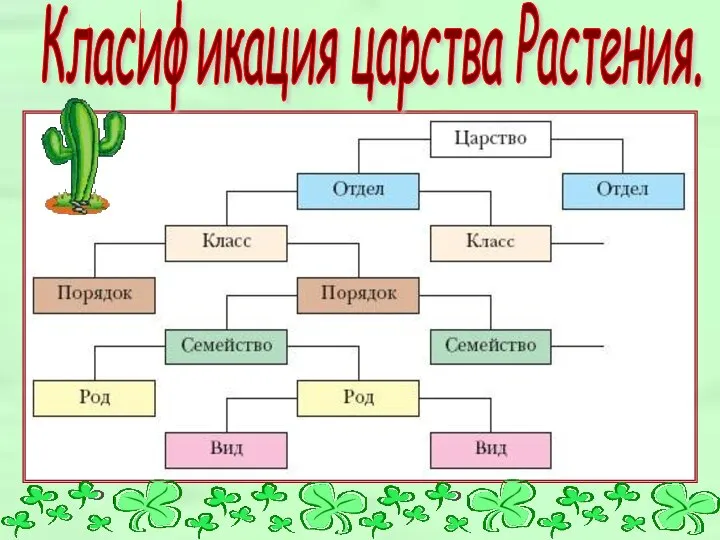 Класификация царства Растения.