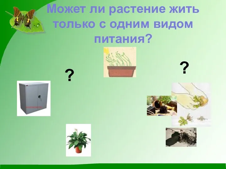 Может ли растение жить только с одним видом питания? ? ?