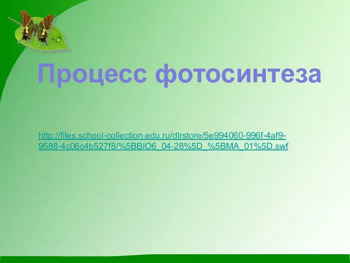 http://files.school-collection.edu.ru/dlrstore/5e994060-996f-4af9- 9588-4c06c4b527f8/%5BBIO6_04-28%5D_%5BMA_01%5D.swf Процесс фотосинтеза