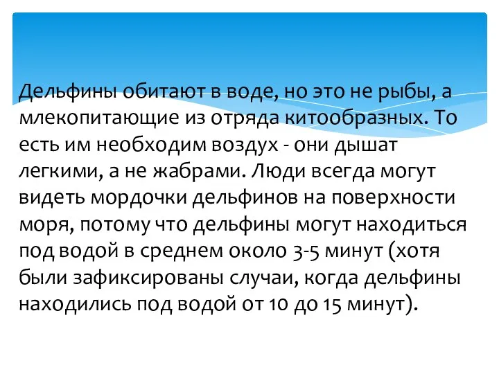 Дельфины обитают в воде, но это не рыбы, а млекопитающие из