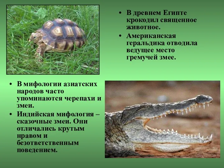 В мифологии азиатских народов часто упоминаются черепахи и змеи. Индийская мифология