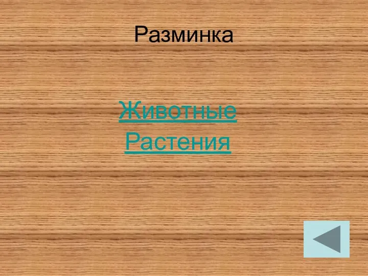 Разминка Животные Растения