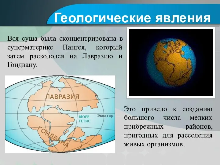 Вся суша была сконцентрирована в суперматерике Пангея, который затем раскололся на