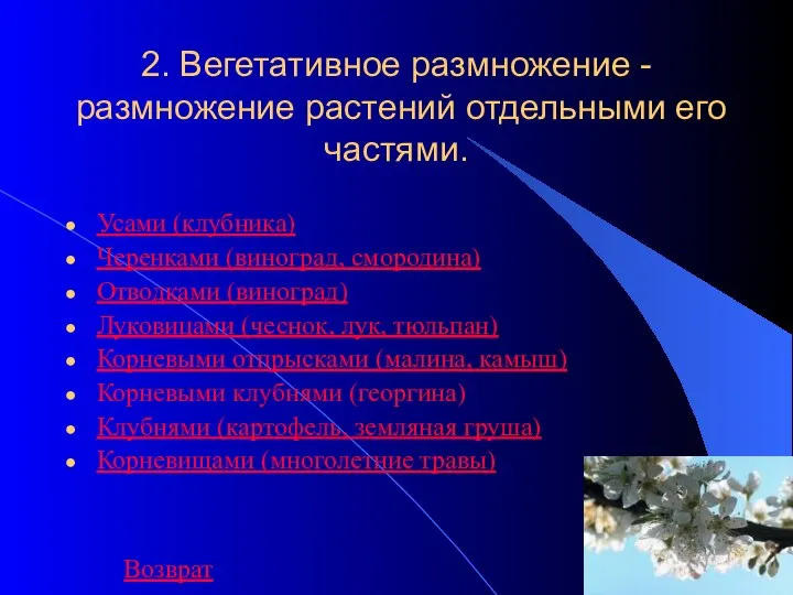 09/02/2023 2. Вегетативное размножение - размножение растений отдельными его частями. Усами