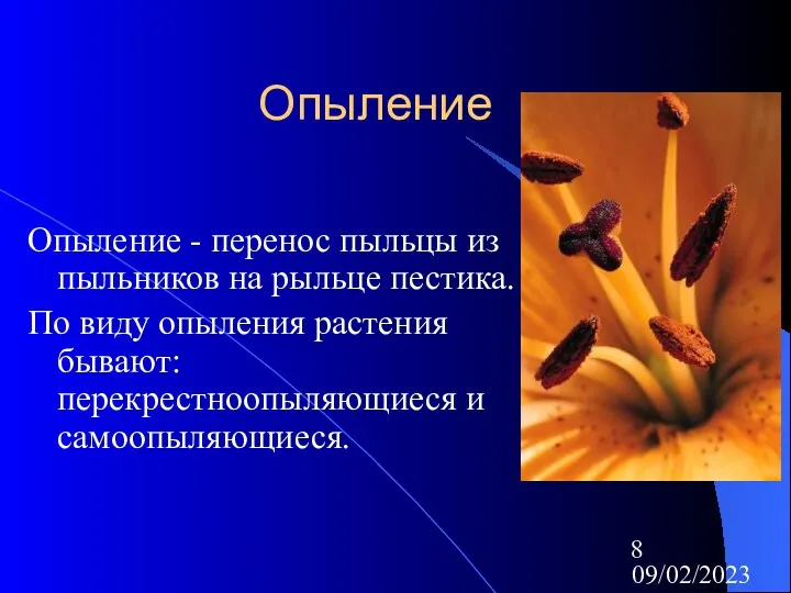 09/02/2023 Опыление Опыление - перенос пыльцы из пыльников на рыльце пестика.