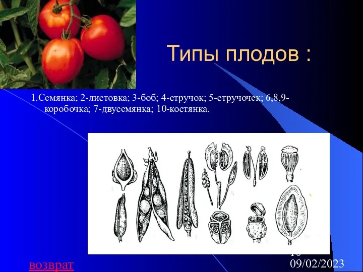 09/02/2023 Типы плодов : 1.Семянка; 2-листовка; 3-боб; 4-стручок; 5-стручочек; 6,8,9-коробочка; 7-двусемянка;