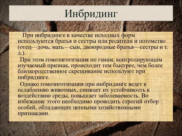 Инбридинг При инбридинге в качестве исходных форм используются братья и сестры