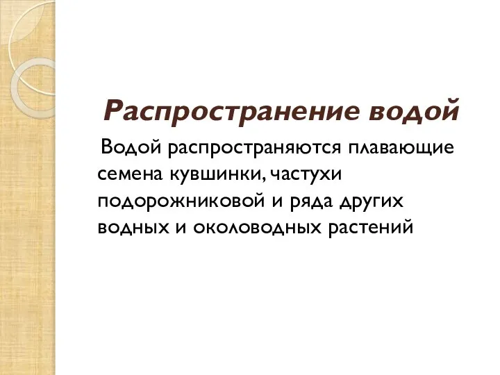 Распространение водой Водой распространяются плавающие семена кувшинки, частухи подорожниковой и ряда других водных и околоводных растений