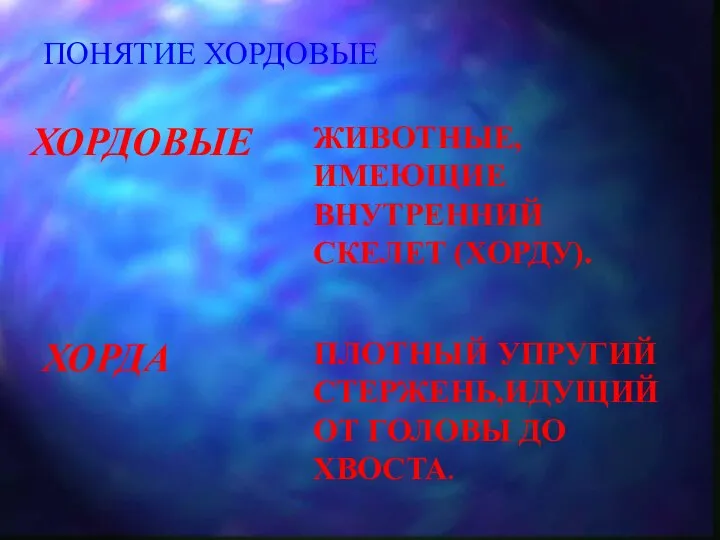 ПОНЯТИЕ ХОРДОВЫЕ