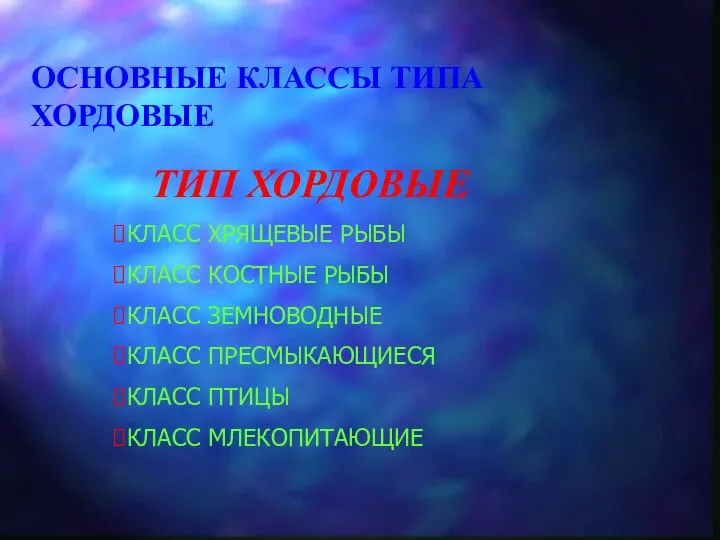 ОСНОВНЫЕ КЛАССЫ ТИПА ХОРДОВЫЕ ТИП ХОРДОВЫЕ КЛАСС ХРЯЩЕВЫЕ РЫБЫ КЛАСС КОСТНЫЕ