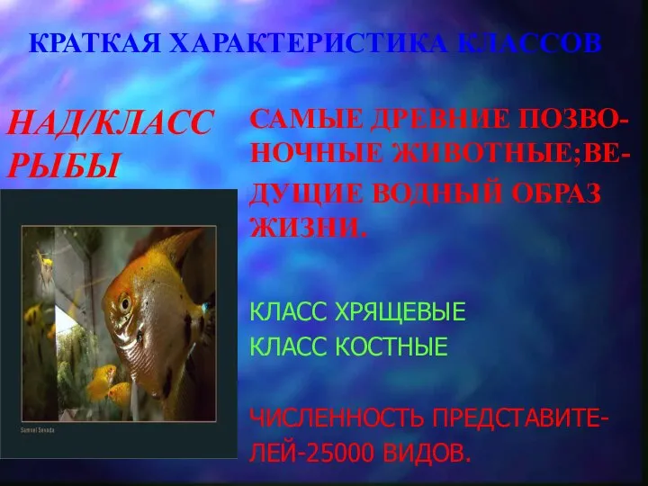 КРАТКАЯ ХАРАКТЕРИСТИКА КЛАССОВ