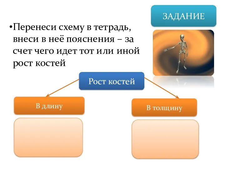 ЗАДАНИЕ Перенеси схему в тетрадь, внеси в неё пояснения – за