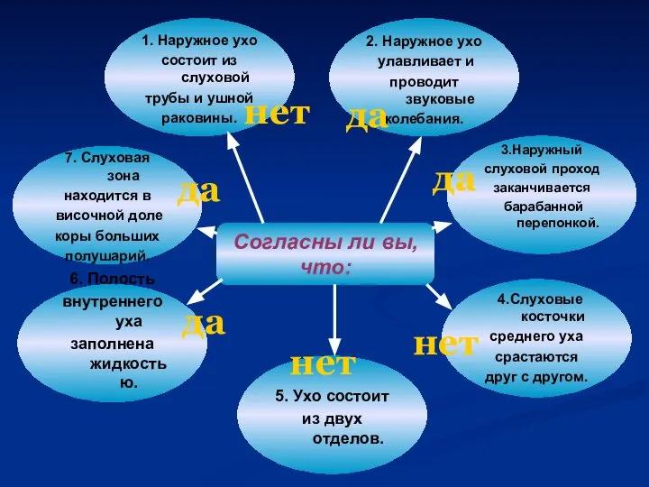 Согласны ли вы, что: 1. Наружное ухо состоит из слуховой трубы