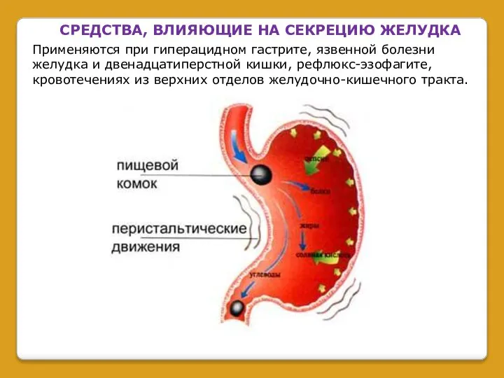 СРЕДСТВА, ВЛИЯЮЩИЕ НА СЕКРЕЦИЮ ЖЕЛУДКА Применяются при гиперацидном гастрите, язвенной болезни