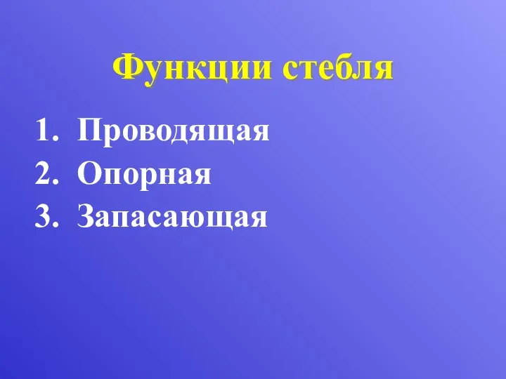 Функции стебля Проводящая Опорная Запасающая