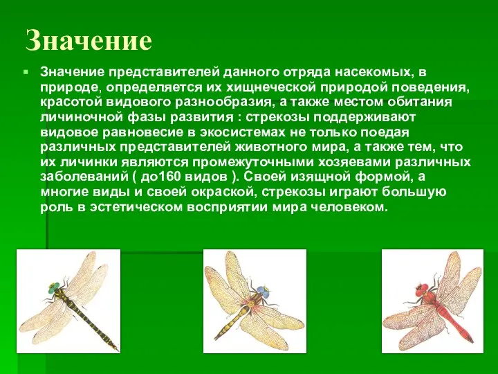 Значение Значение представителей данного отряда насекомых, в природе, определяется их хищнеческой