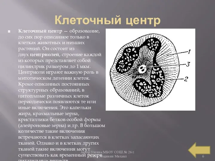 Автор Ученик МБОУ СОШ № 26 г. Пензы Лощинин Михаил Клеточный