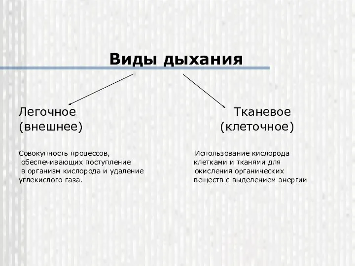 Виды дыхания Легочное Тканевое (внешнее) (клеточное) Совокупность процессов, Использование кислорода обеспечивающих