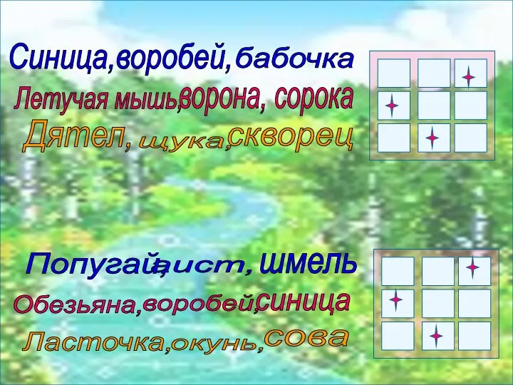 Синица,воробей, Летучая мышь, аист, синица бабочка ворона, сорока Дятел, щука, скворец